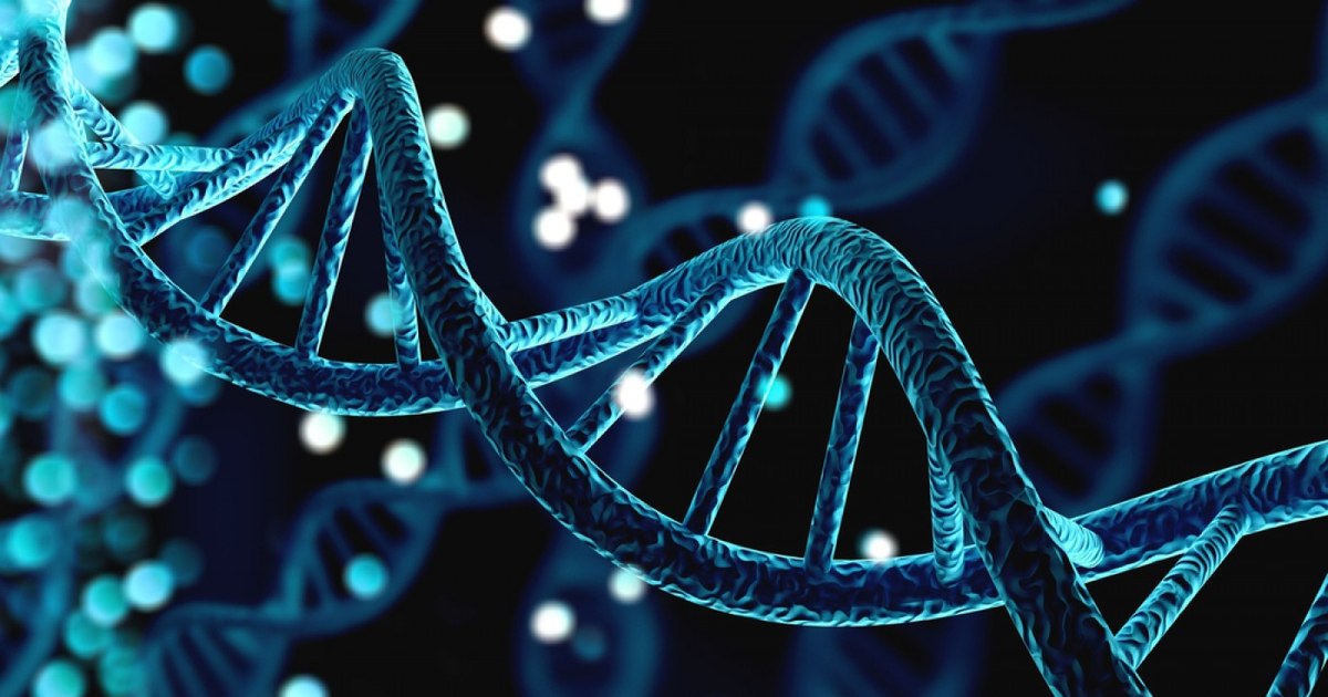 Genetics may influence success more than the environment we grow up in, a study of twins suggests
