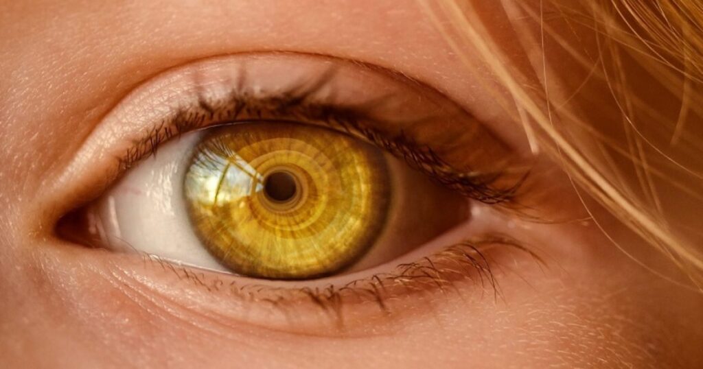 Goodbye, donor waiting lists? Scientists have 3D printed the first functional cornea