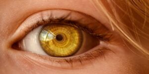 Goodbye, donor waiting lists? Scientists have 3D printed the first functional cornea