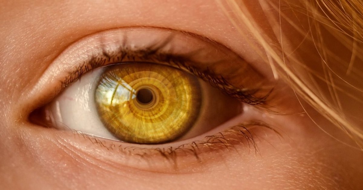 Goodbye, donor waiting lists? Scientists have 3D printed the first functional cornea