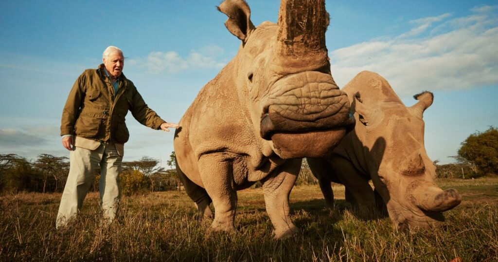 Photo 50 species are named after Sir David Attenborough: from carnivorous plants to prehistoric reptiles