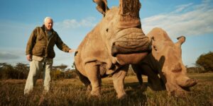 Photo 50 species are named after Sir David Attenborough: from carnivorous plants to prehistoric reptiles