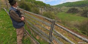 Video How the life of the shepherds in Funătura Ponorului and Ponorici changed after the emergence of Via Transilvanica