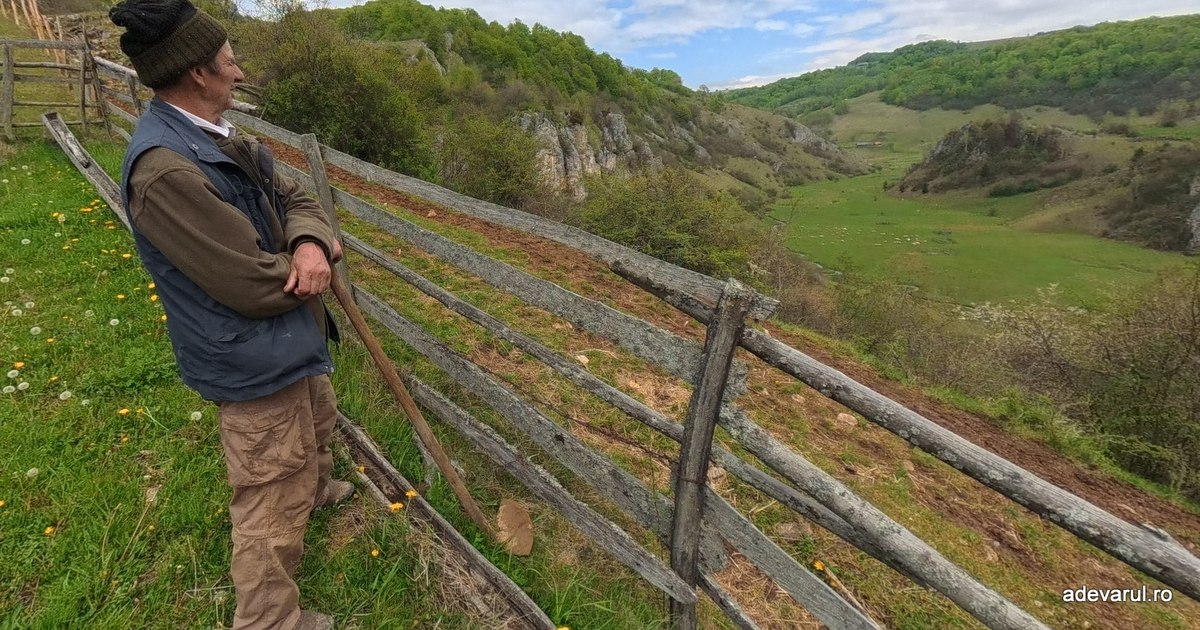 Video How the life of the shepherds in Funătura Ponorului and Ponorici changed after the emergence of Via Transilvanica