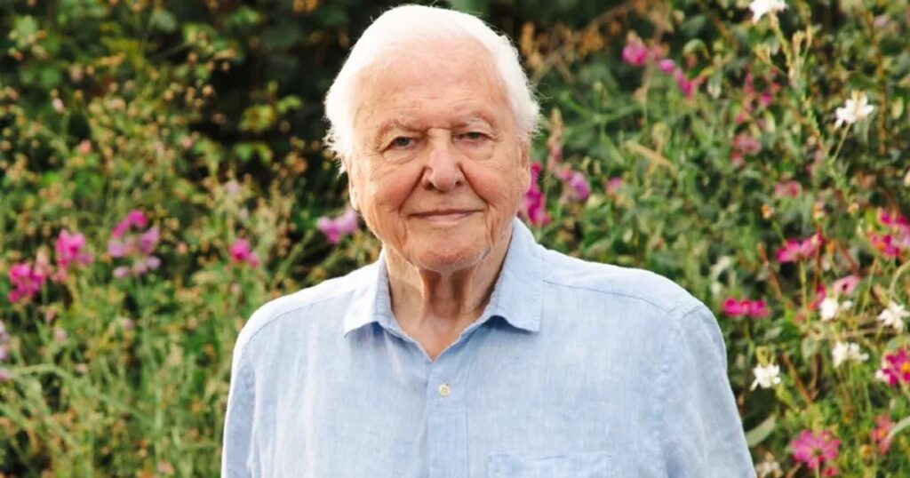 Video "Secret Superpower" of the legendary David Attenborough: the man who, at 100 years old, continues to inspire the whole world