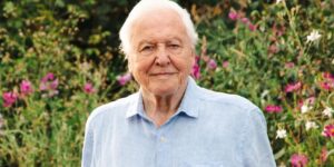 Video “Secret Superpower” of the legendary David Attenborough: the man who, at 100 years old, continues to inspire the whole world