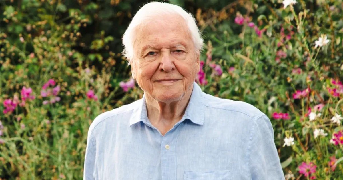 Video "Secret Superpower" of the legendary David Attenborough: the man who, at 100 years old, continues to inspire the whole world