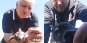 “What cruelty, sir? How can it be illegal?” Tiktoker Nea Florica defends herself after posting images of herself killing pigeons