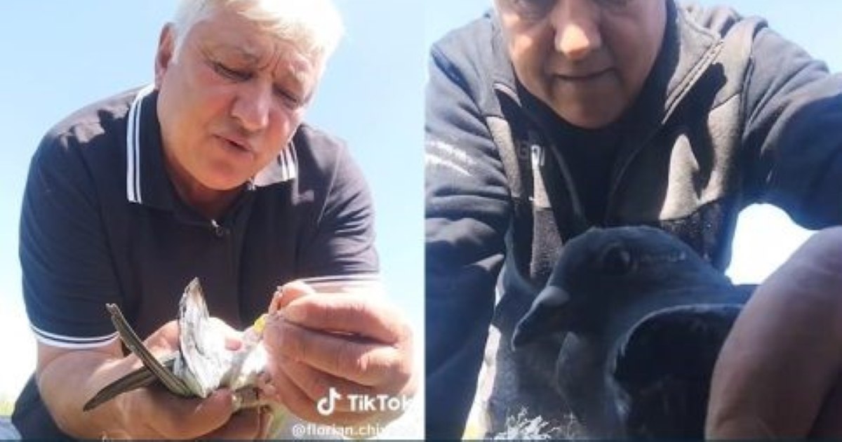 "What cruelty, sir? How can it be illegal?" Tiktoker Nea Florica defends herself after posting images of herself killing pigeons