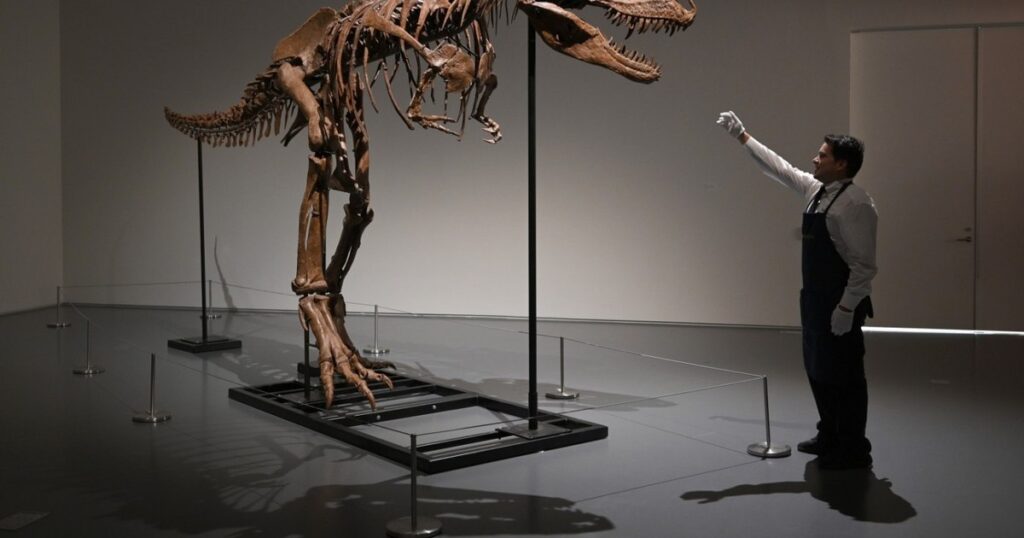 Why did the T-Rex have such small arms? Researchers think they've found the explanation, and it's simpler than you think