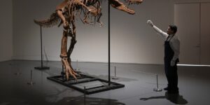 Why did the T-Rex have such small arms? Researchers think they’ve found the explanation, and it’s simpler than you think