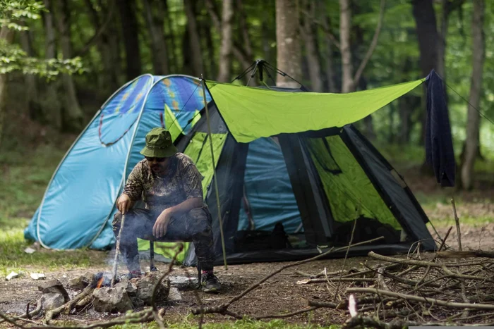 There are strict rules for camping in forests. Photo by Mostafa Meraji, Pixabay