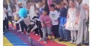 A humanoid robot wearing a clown wig hit a child during a demonstration