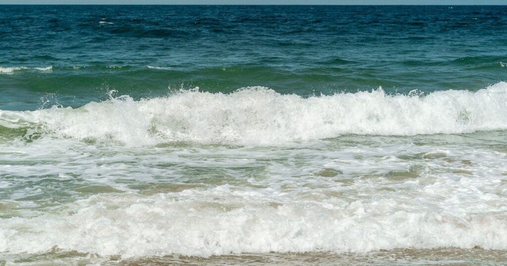 A 'flesh-eating' bacteria is multiplying rapidly in the Black Sea. And tourists on the beaches in Romania can get infected