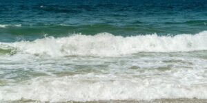 A ‘flesh-eating’ bacteria is multiplying rapidly in the Black Sea. And tourists on the beaches in Romania can get infected