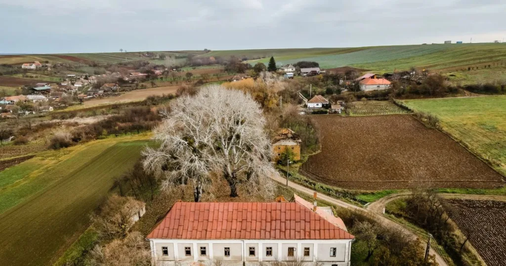 The mansion in Bihor where the Crown of Hungary was hidden, put up for sale. The area of ​​6,635 sqm, cheaper than an apartment in Oradea