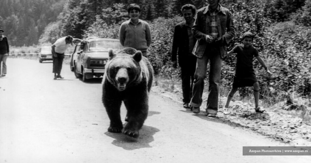 Video Epic photos from Transfăgărășan, taken 50 years ago, before the inauguration: "The bears were getting used to the noise of dynamite back then"