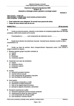 Baccalaureate 2026 Topics and Scales Anatomy (1) png