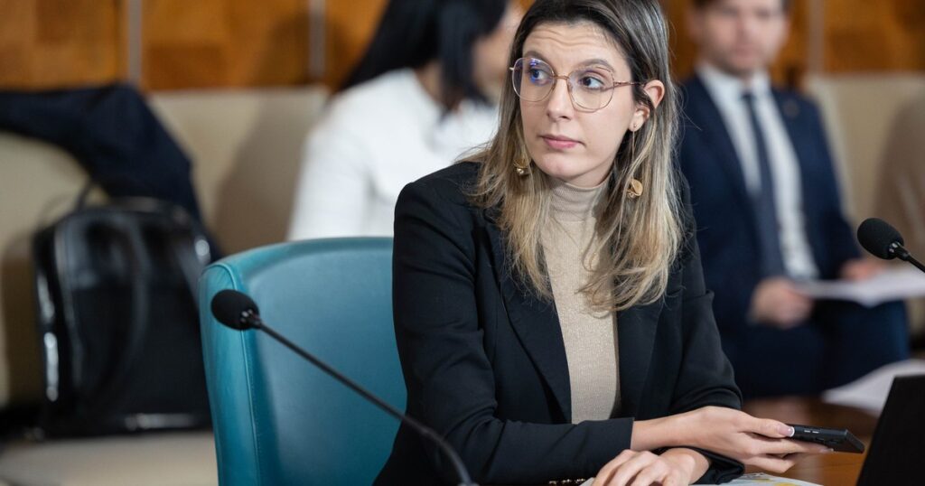 Diana Buzoianu convened the Committee for Emergency Situations. "Our priority is protecting people"
