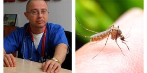 Three cases of West Nile virus infection, one fatal. Warning: “Don’t neglect mosquito bites”