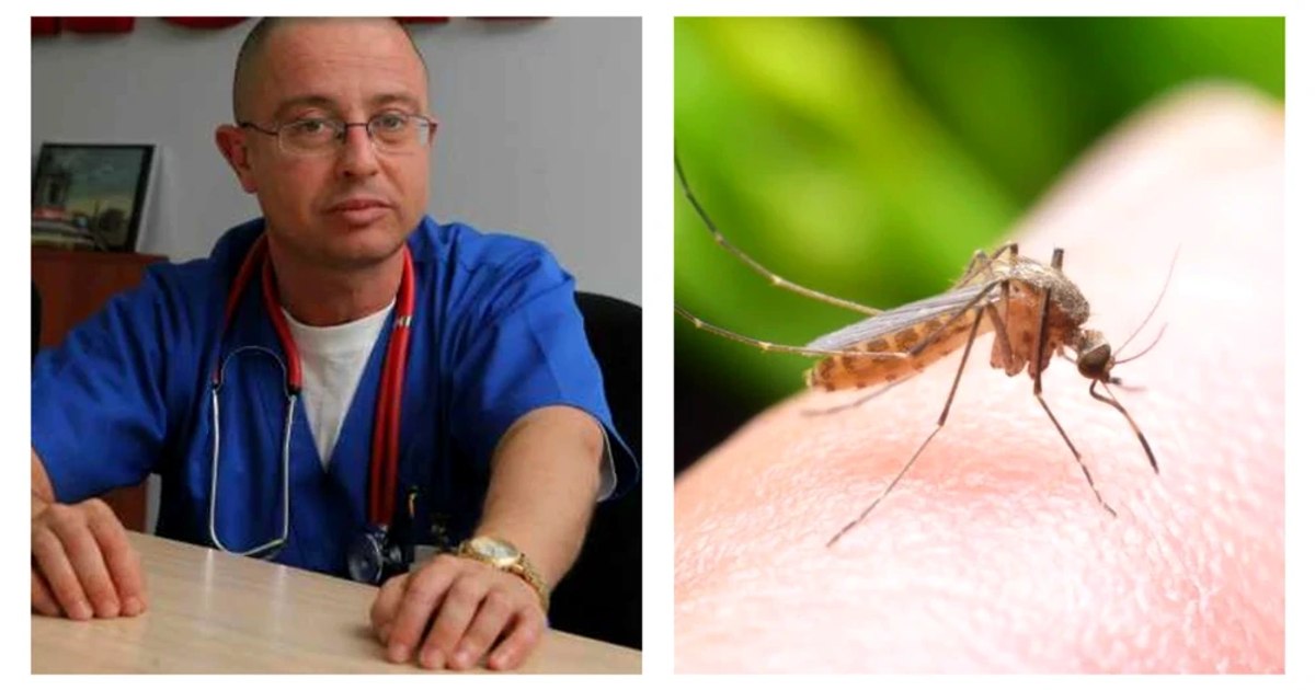 Three cases of West Nile virus infection, one fatal. Warning: "Don't neglect mosquito bites"