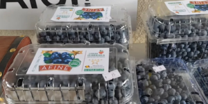 Video Store without a seller that works on trust. Customers choose their own fruit and leave money in a box