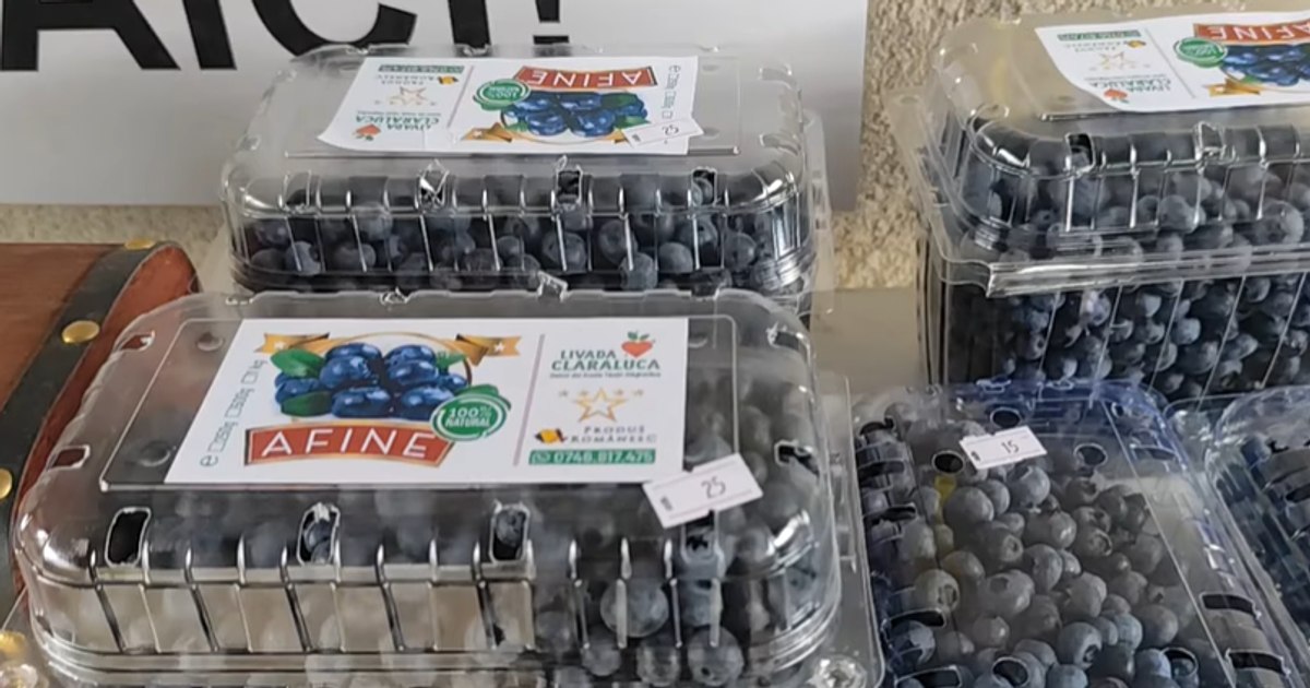 Video Store without a seller that works on trust. Customers choose their own fruit and leave money in a box