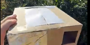 How to safely watch an eclipse with a homemade projector. What you need and how to build it step by step