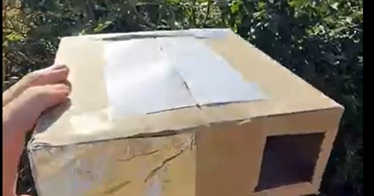 How to safely watch an eclipse with a homemade projector. What you need and how to build it step by step